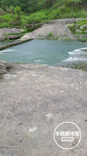 8fe516b6e6bd56a_size178_w550_h977 8fe516b6e6bd56a_size178_w550_h977