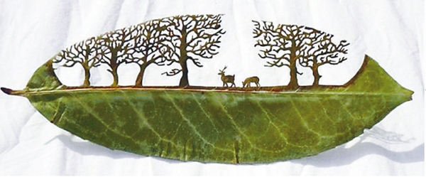 W020150626349100450636 W020150626349100450636