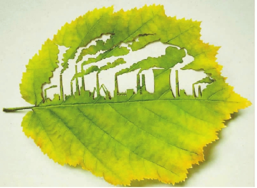 W020150626349100453860 W020150626349100453860