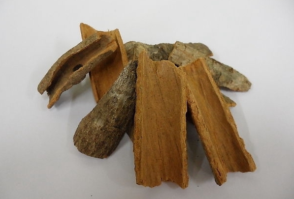 1370_20110702082637913200_1 1370_20110702082637913200_1