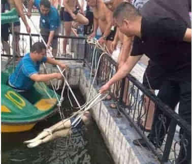 143571970253423186 143571970253423186