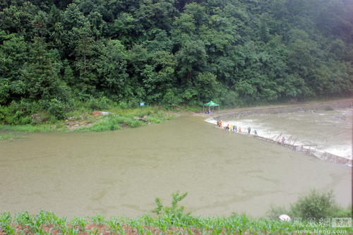 W020150701368125421236