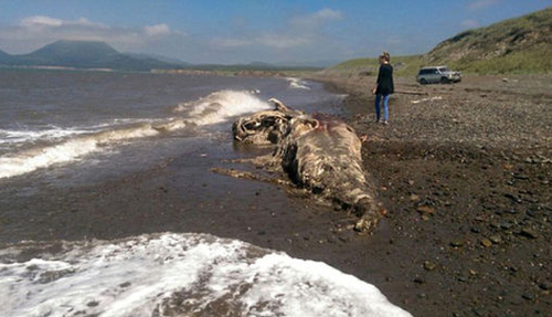 d43d7e21c66016fec88808 d43d7e21c66016fec88808