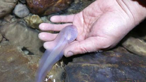 d43d7e21c66016fec8c60d d43d7e21c66016fec8c60d