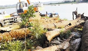 1435794589_Ebbh6P 1435794589_Ebbh6P