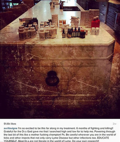 艾薇儿说：“回首这6个月的经历，让我感到十分兴奋。”