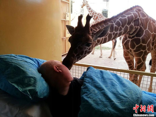 e2ed47654aad4751bf475e8f9df31495 e2ed47654aad4751bf475e8f9df31495