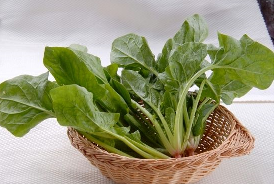 20150706092557565 20150706092557565