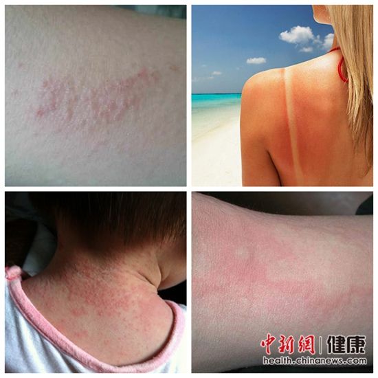 9451934035334052388 9451934035334052388