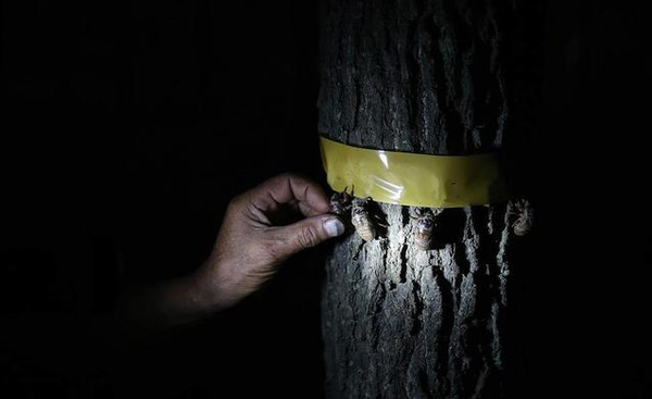 QQ截图20150707131912 QQ截图20150707131912