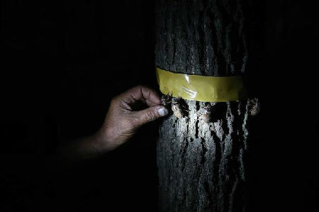 1436240626718 1436240626718