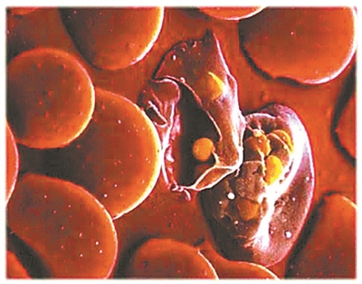 127997957_14363216687611n 127997957_14363216687611n