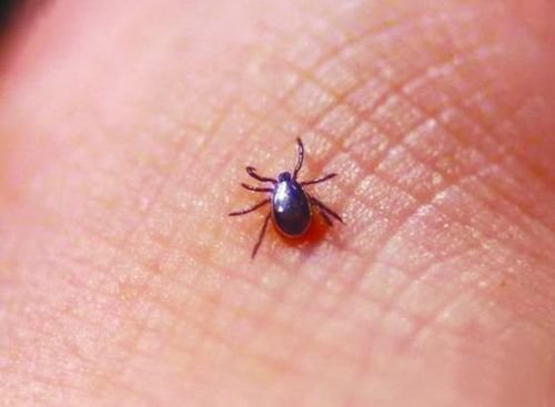 127997957_14363218901481n 127997957_14363218901481n