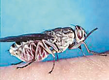 127997957_14363216688811n 127997957_14363216688811n