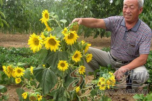 2015071010084155342 2015071010084155342