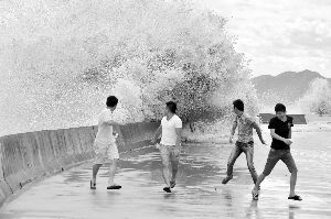 65551436557079 65551436557079