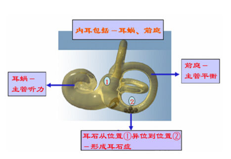 20150713104050d83ac 20150713104050d83ac