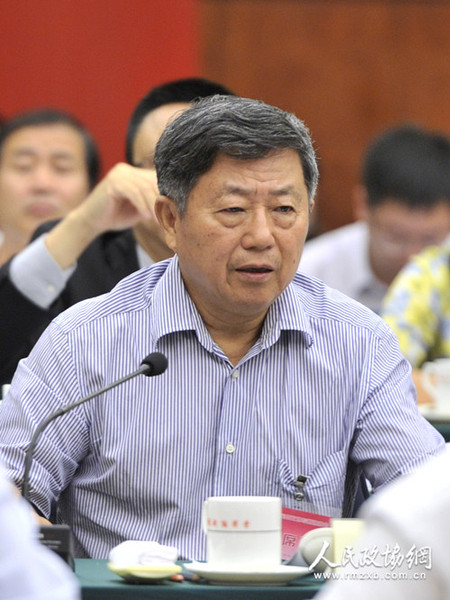 迟福林_副本 迟福林_副本