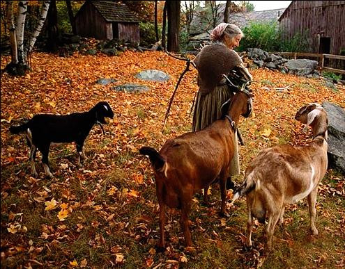 489d6ffbgdffb3a86a0a7&690 489d6ffbgdffb3a86a0a7&690