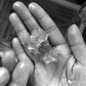 温州市场现注胶虾-专家教你如何鉴别注胶虾4 温州市场现注胶虾-专家教你如何鉴别注胶虾4