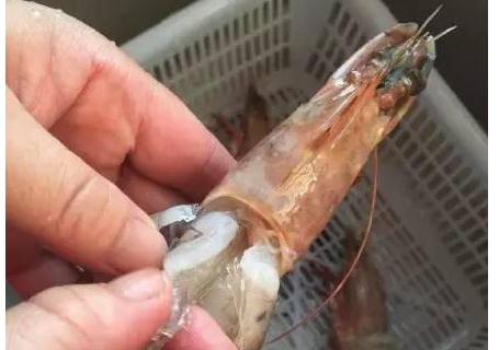 20150715114948206 20150715114948206