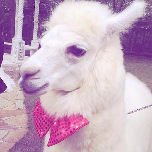 360截图20150717101841646