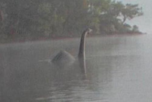 638C6ADF90690B6695C1A82F3380181F 638C6ADF90690B6695C1A82F3380181F