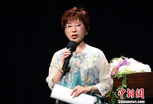 洪秀柱(资料图) 刘震 摄 洪秀柱(资料图) 刘震 摄