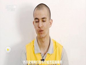 然后安排他们在其它城市实施爆炸 然后安排他们在其它城市实施爆炸