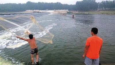 lid57447_b lid57447_b