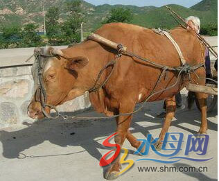 20150722134823785fa 20150722134823785fa