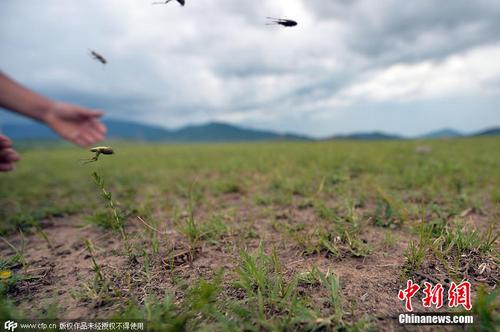 f1690a20bef24764a4bead73bc6bdfea f1690a20bef24764a4bead73bc6bdfea