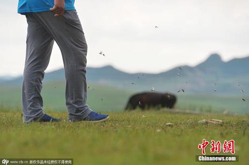 1bc2bc6b129044acabfd9c4ffae67f72 1bc2bc6b129044acabfd9c4ffae67f72