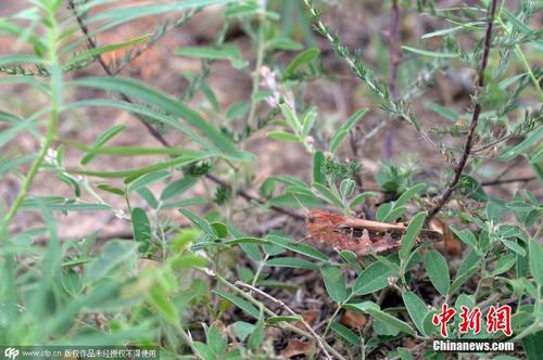 89dccb9e36d649028deeb81b646ddba6 89dccb9e36d649028deeb81b646ddba6