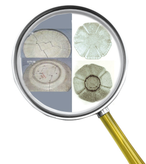 1437617879730 1437617879730