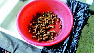 128052213_14376377840661n 128052213_14376377840661n