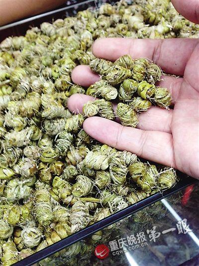 2344770450708126426 2344770450708126426