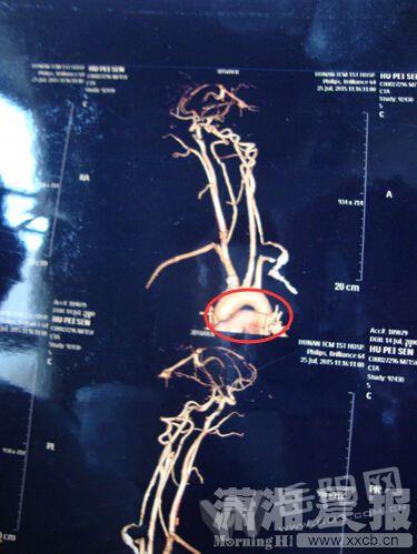 14605240762548739239 14605240762548739239