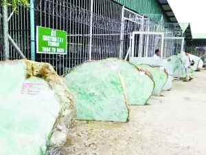 res05_attpic_brief res05_attpic_brief