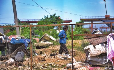 20150728094655935 20150728094655935