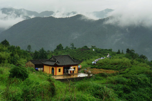 1.6王爱山(松门岭) 1.6王爱山(松门岭)