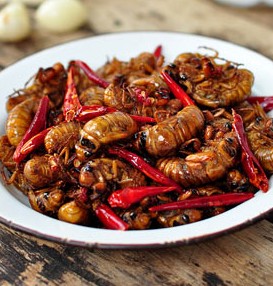 201507281836135f64d 201507281836135f64d