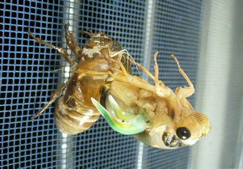 2015072818380418ffd 2015072818380418ffd