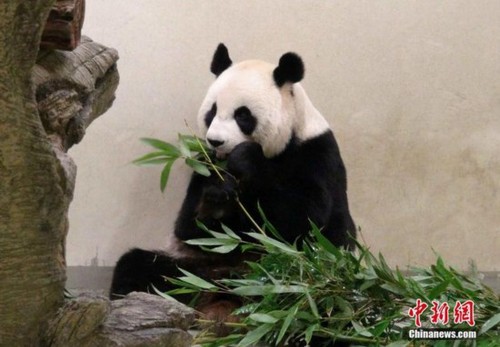 1116077639_14381407697681n 1116077639_14381407697681n