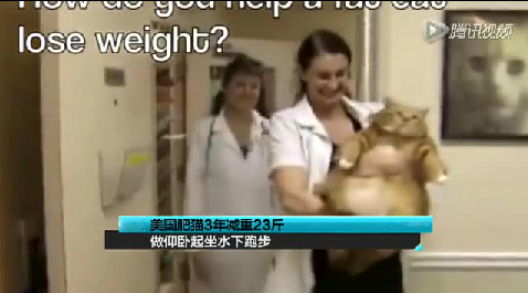 QQ截图20150731131020 QQ截图20150731131020