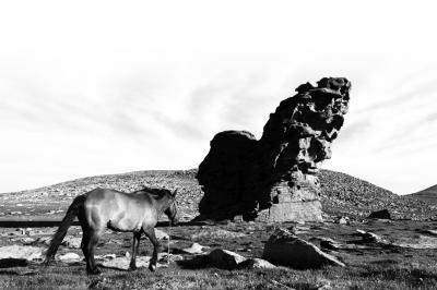 图片均为古地中海海底遗迹。雷东翔摄