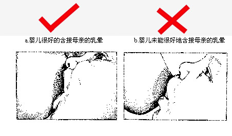 128089927_14386464850481n 128089927_14386464850481n