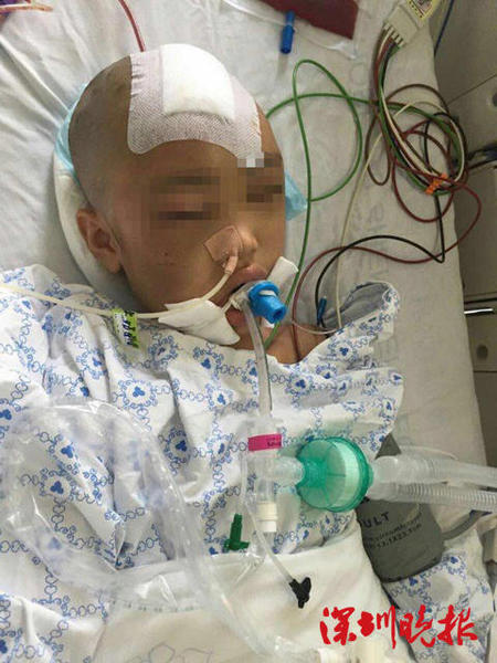 Img418126423 Img418126423