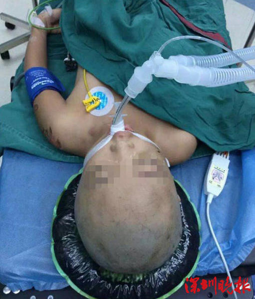 Img418126424 Img418126424