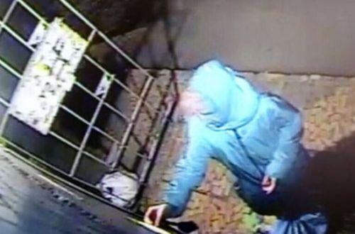 W020150803367484694121 W020150803367484694121